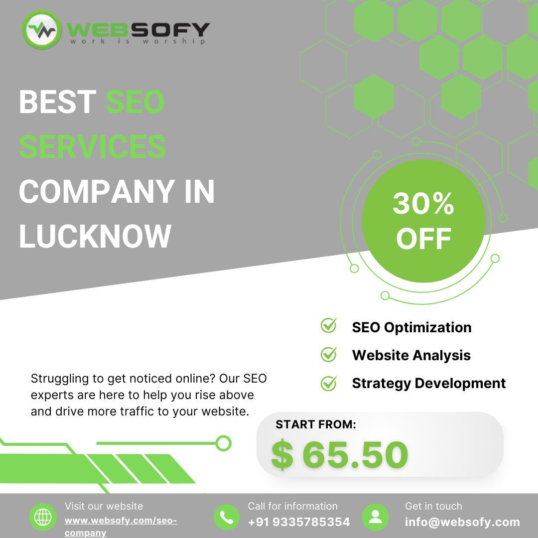 Grow Your Business with Websofy Software Pvt Ltd Best SEO Company 
