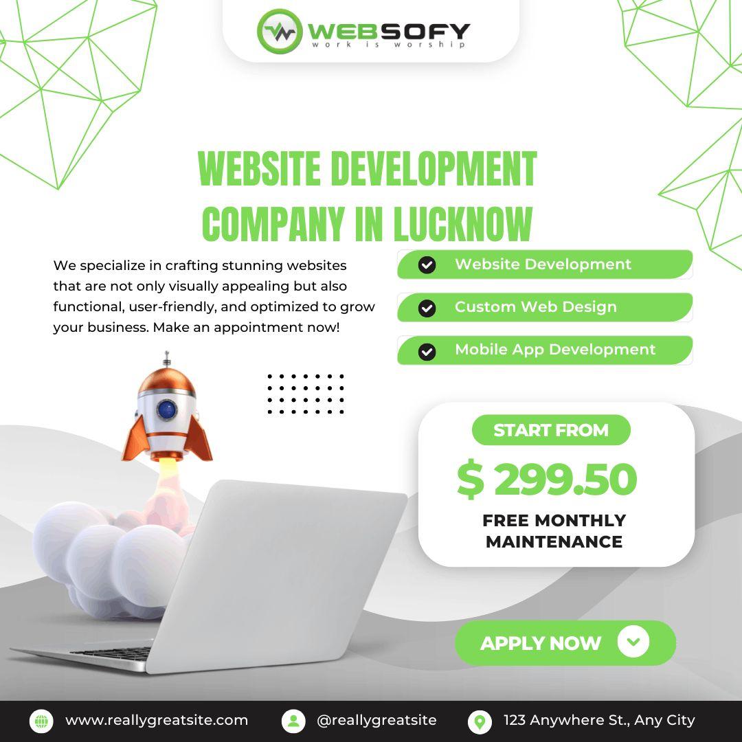Professional Website Development by Websofy Software Pvt Ltd  