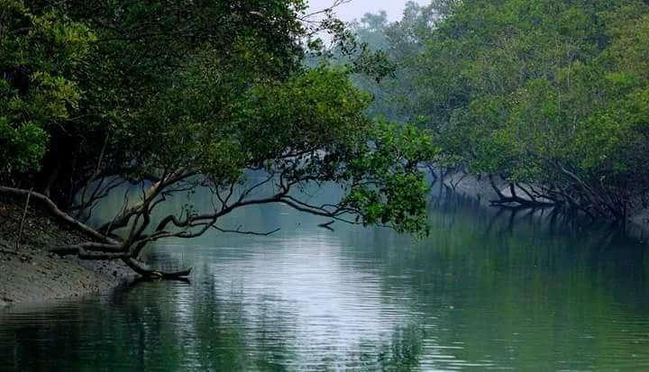 Sundarban Hotel Sonar Bangla Package Tour 