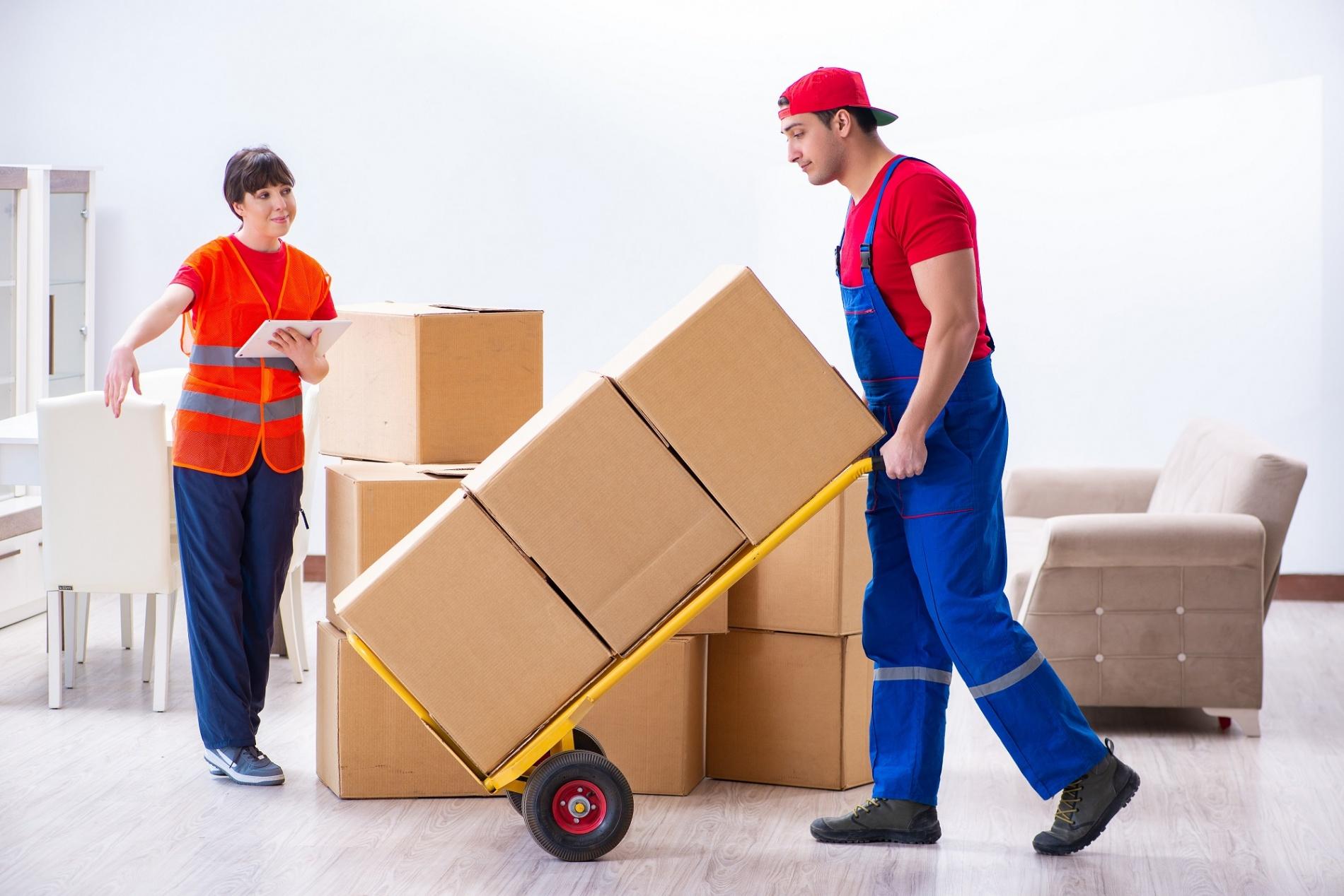 Packers and Movers Noida