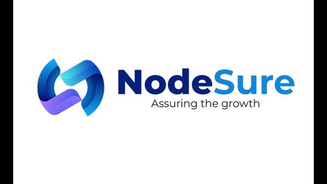 Custom Website Development Services  NodeSure Technologies