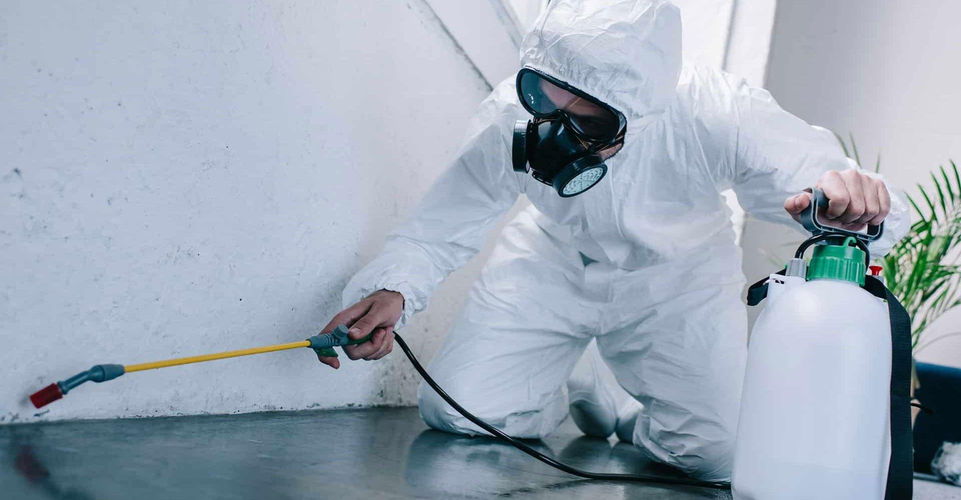 Best Pest Control Services in Bhubaneswar, Odisha