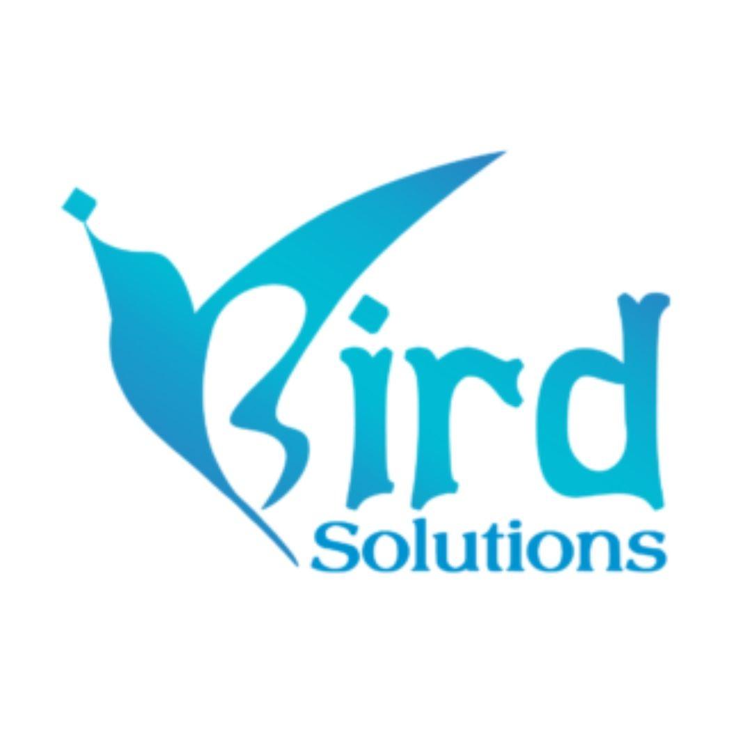 iBird Solutions  Best Digital Marketing & Web Development Agency in Ahmedabad