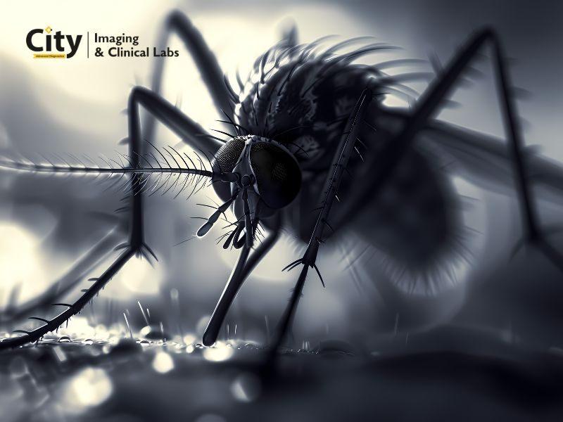 Malaria Symptoms and Blood Test Name You Should Know