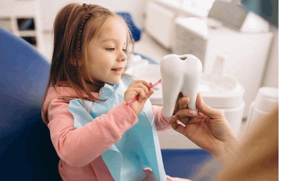 Endodontics Services in BTM Layout Bangalore - Perfect Dental Studio