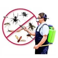 Expert Pest Solutions by Pestonix Trusted Pest Control Services in Kolkata