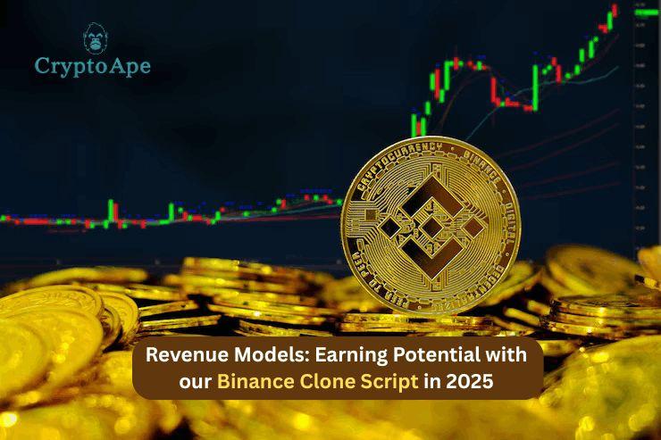 Revenue Models: Earning Potential with Our Binance Clone Script in 2025