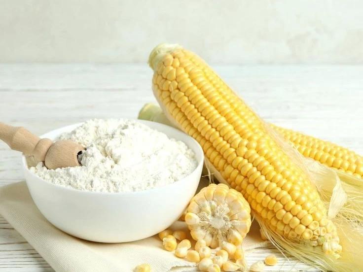 Premium Corn Starch Supplier in India  Santosh Starch Product Ltd