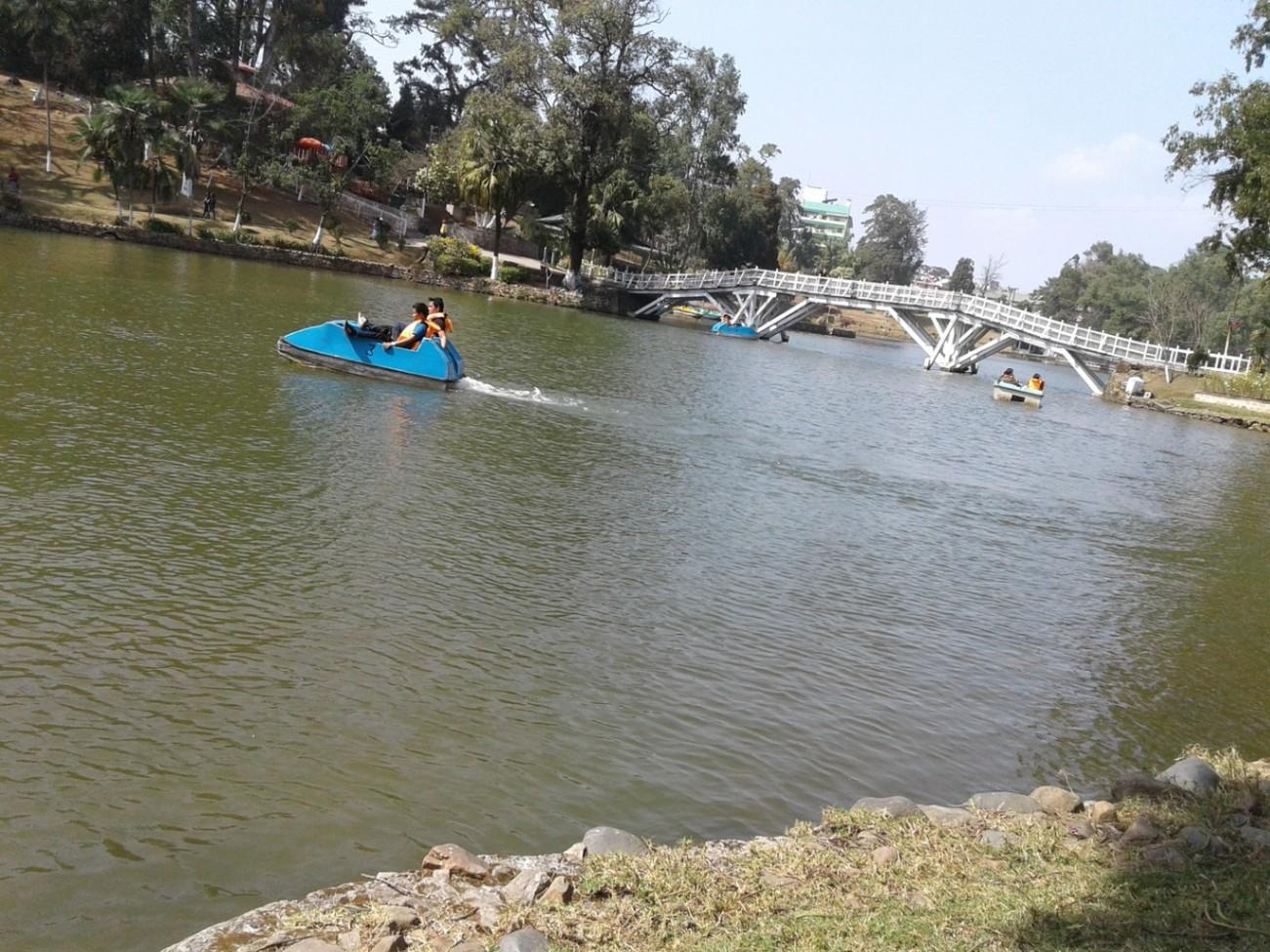 Bungee Jumping in Meghalaya: A Thrilling Adventure Amidst Nature's Splendor
