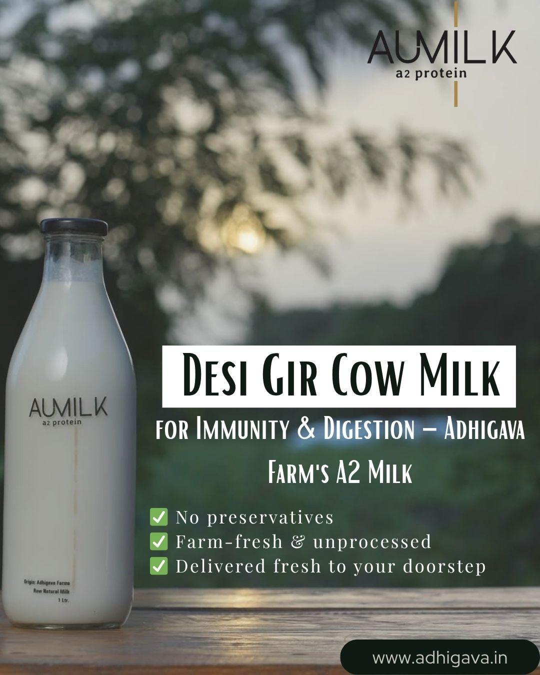 Desi Gir Cow Milk for Immunity & Digestion  Adhigava Farm's A2 Milk