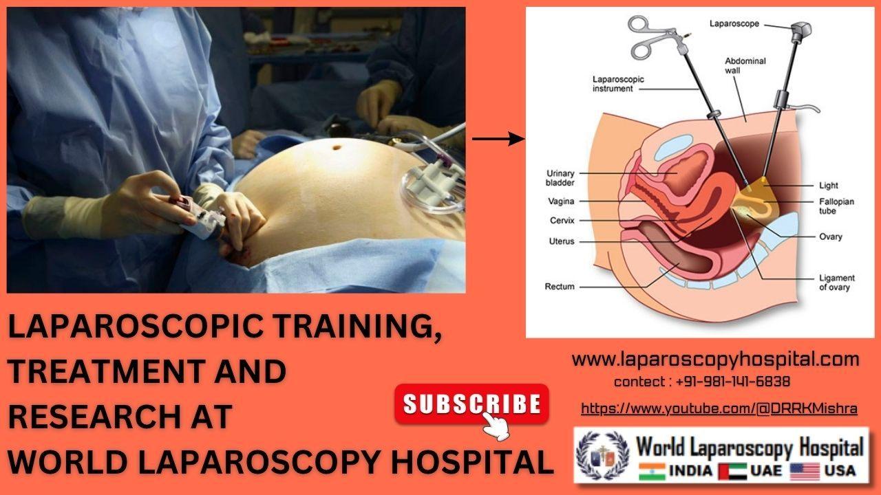 Laparoscopic Training, Treatment and Research