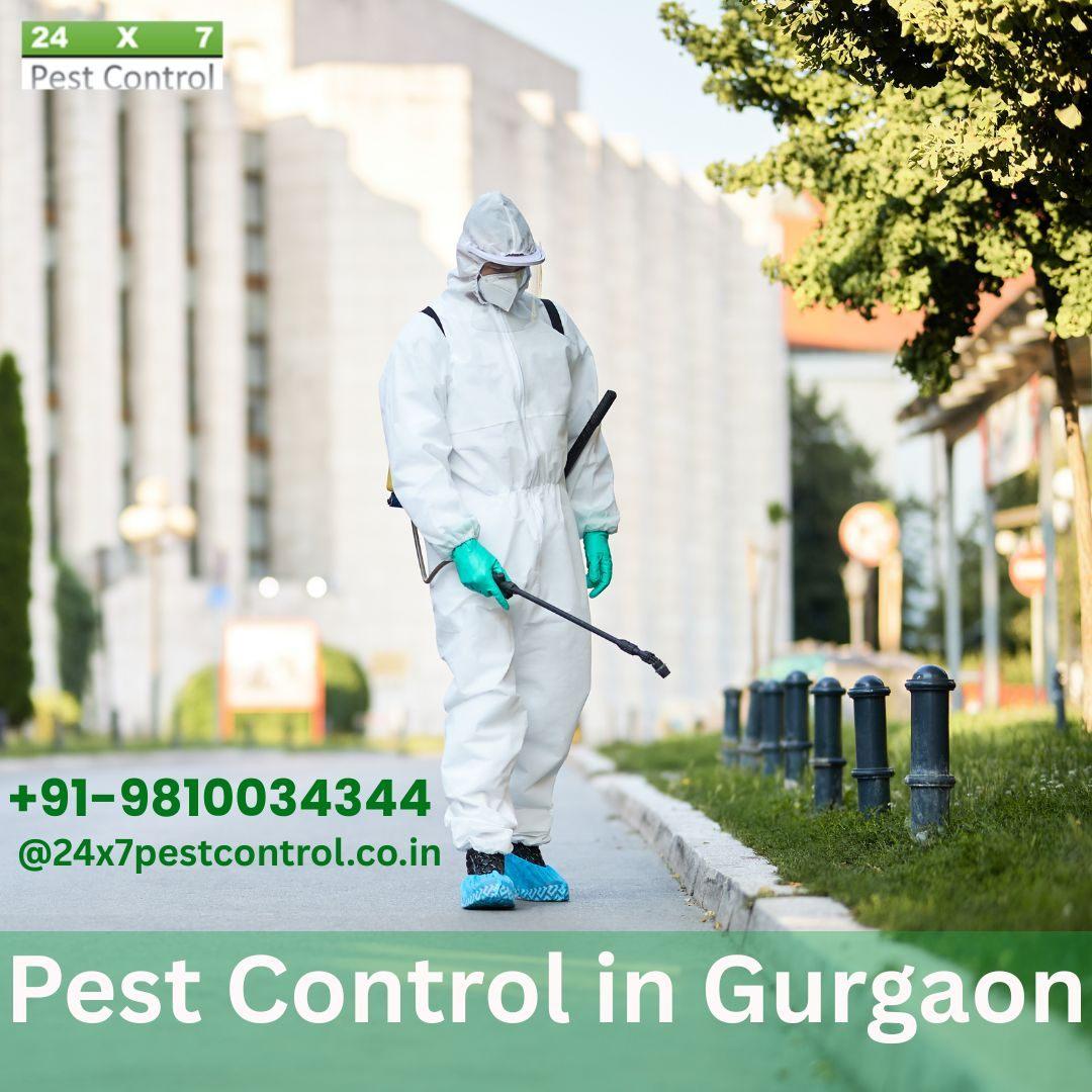 Pest Control Services in Gurgaon