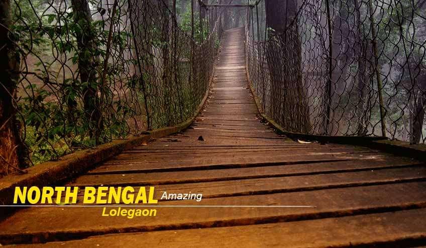 North Bengal Tour Package from Kolkata: A Journey into the Himalayan Foothills