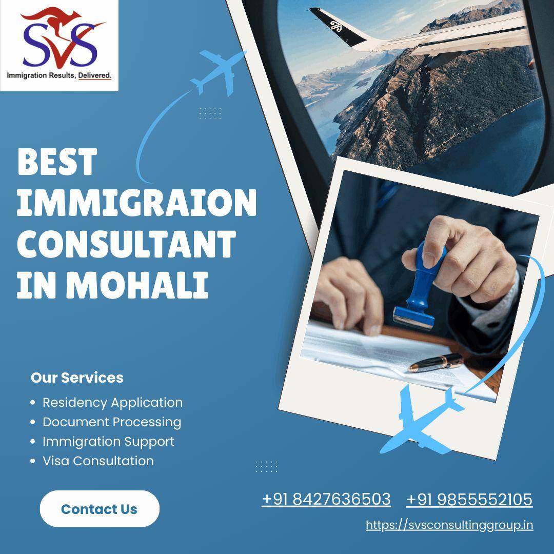Trusted Immigration Consultants in Mohali | SVS Consulting Group