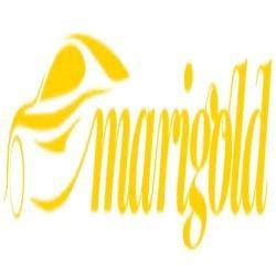 Marigold Services  Non-Fault accident claims Management 