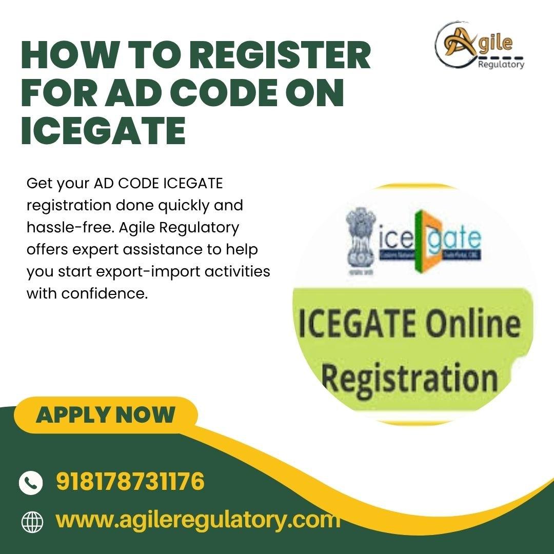 complete-icegate-registration-support-agile-regulatory-experts