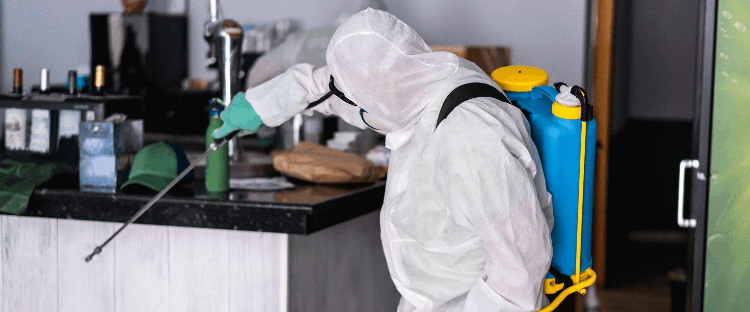 Pest Control Services in Hyderabad: Creating Healthier Spaces 