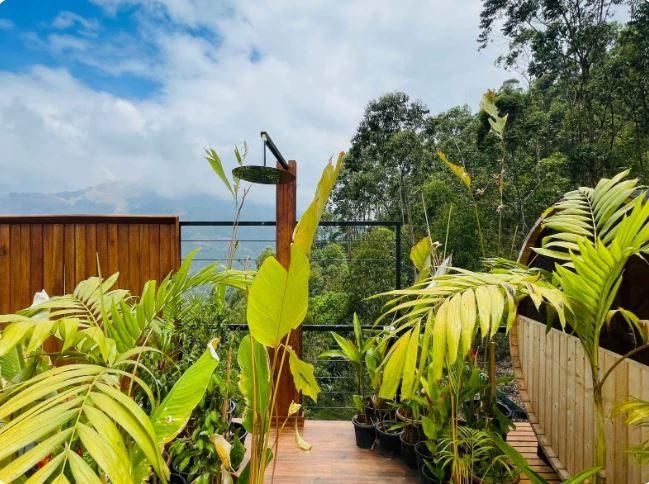 Luxe Glamp: The Ultimate Mountain View Staycation in Munnar for Couples