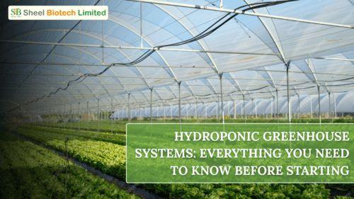 Hydroponic Greenhouses: Revolutionizing Farming in India