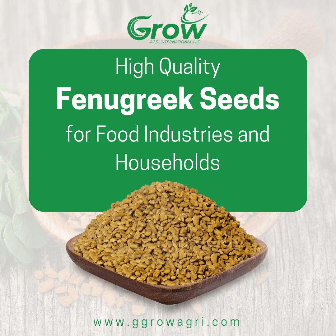 High Quality Fenugreek Seeds for Food Industries and Households