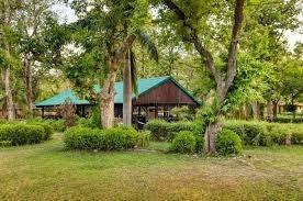  Stay Close to Nature at Bijrani Jungle Cottages