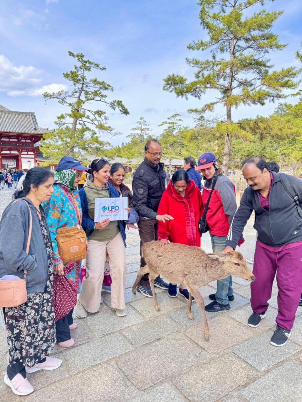 International  tour  expert