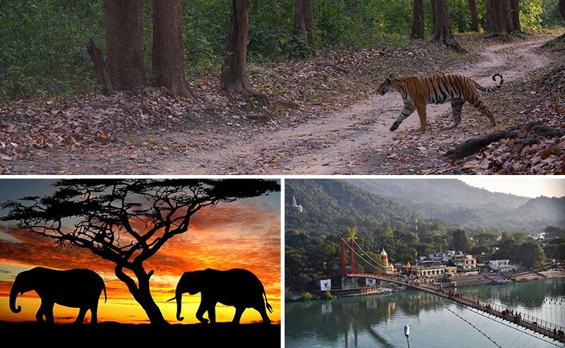 Corporate Outing In Jim Corbett  Premium Offsite Venues