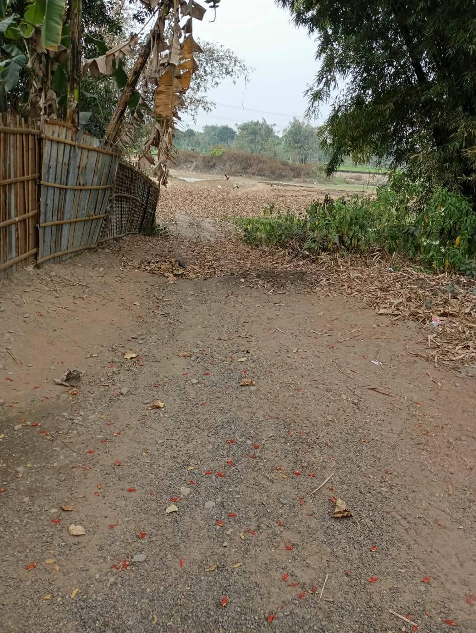 2 Bigha Tribal Land For Sale in Khoribari,Dudha 10L only