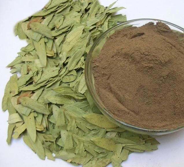 Senna Leaves, Pods Manufacturer, Exporters, Supplier India - Apexherbex