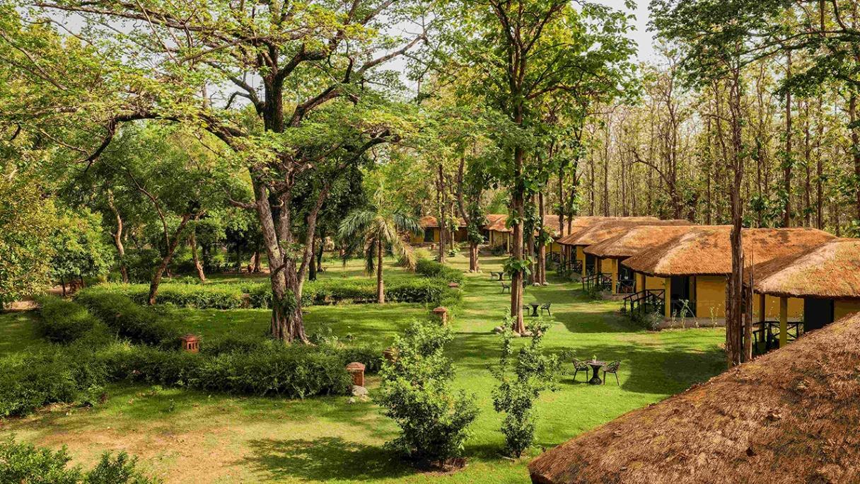 Bijrani Jungle Cottages Serene Jungle Retreat In Jim Corbett