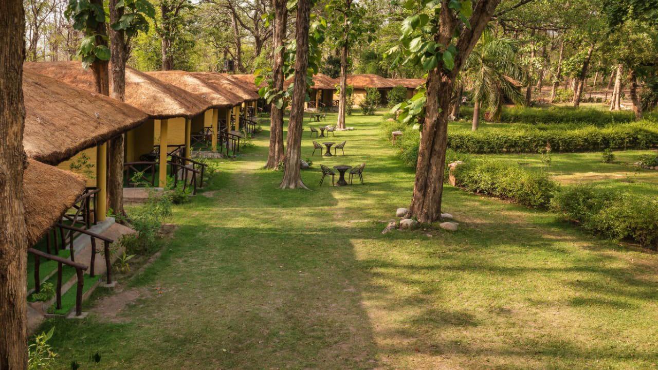 Stay Amidst Wilderness with Jungle Cottages in Jim Corbett