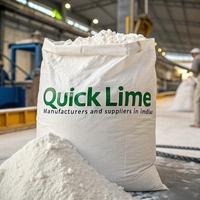 Top Quick Lime Distributors in India | Premium Quality by HTMC Group