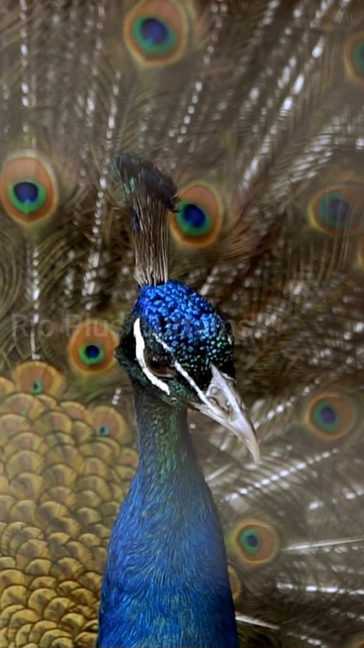 BEST INTERIOR DECORATOR IN THENI 