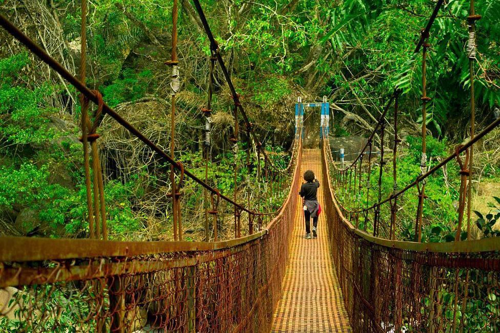 Explore the Abode of Clouds: Best Meghalaya Tour Packages 2025
