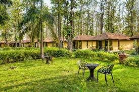 Experience the Wild Comfort  Bijrani Jungle Cottages