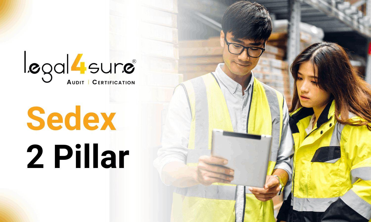 SEDEX 2 Pillar Audit Consultant | Legal4sure