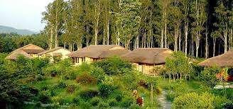 Bijrani Jungle Cottages  Experience the Wild Side of Corbett