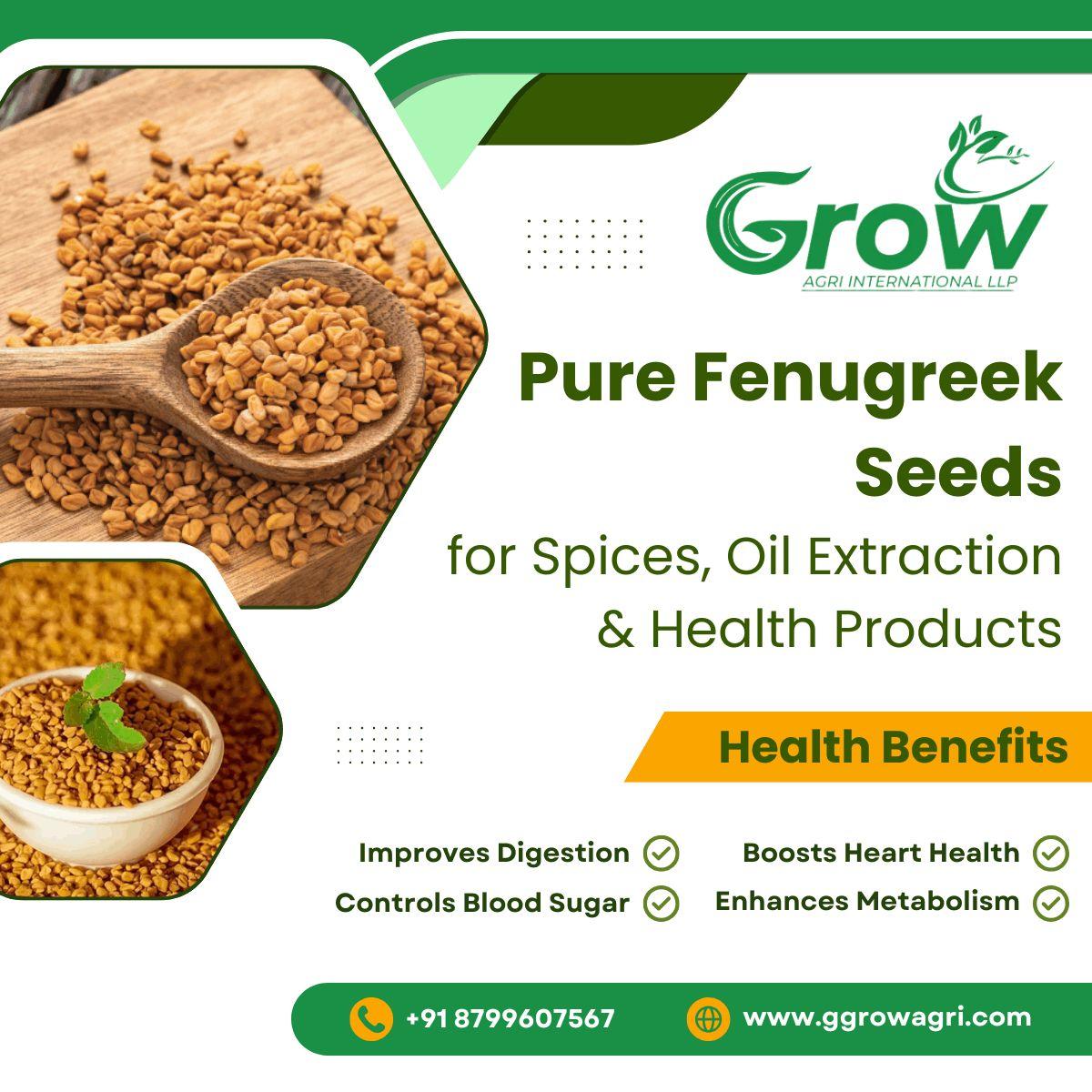 Pure Fenugreek Seeds for Spices, Oil Extraction & Health Products