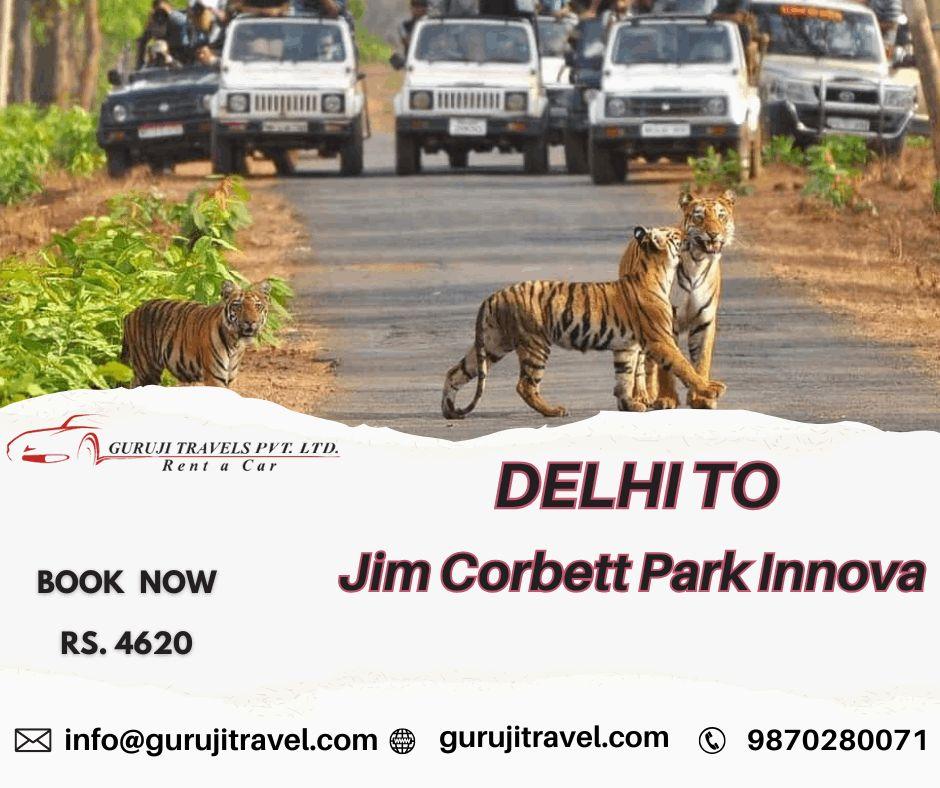 Delhi to Jim Corbett Park Innova with Guruji Travels Pvt Ltd