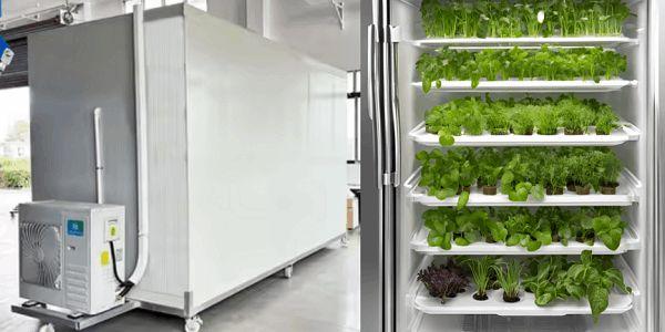 How to Choose the Right Seed Storage Solutions for Your Farm