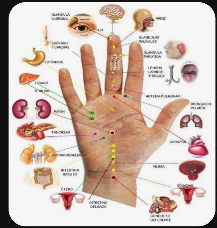 sujok acupressure clinic in ahmedabad