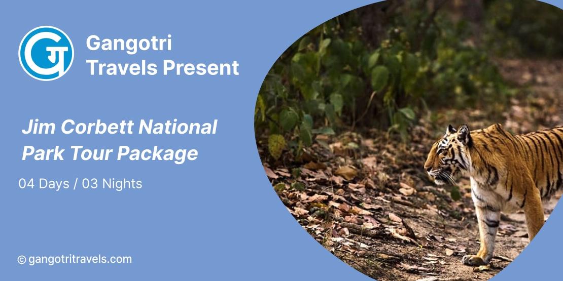 Gangotri Travels Offers Jim Corbett Tour Packages - From 8,000