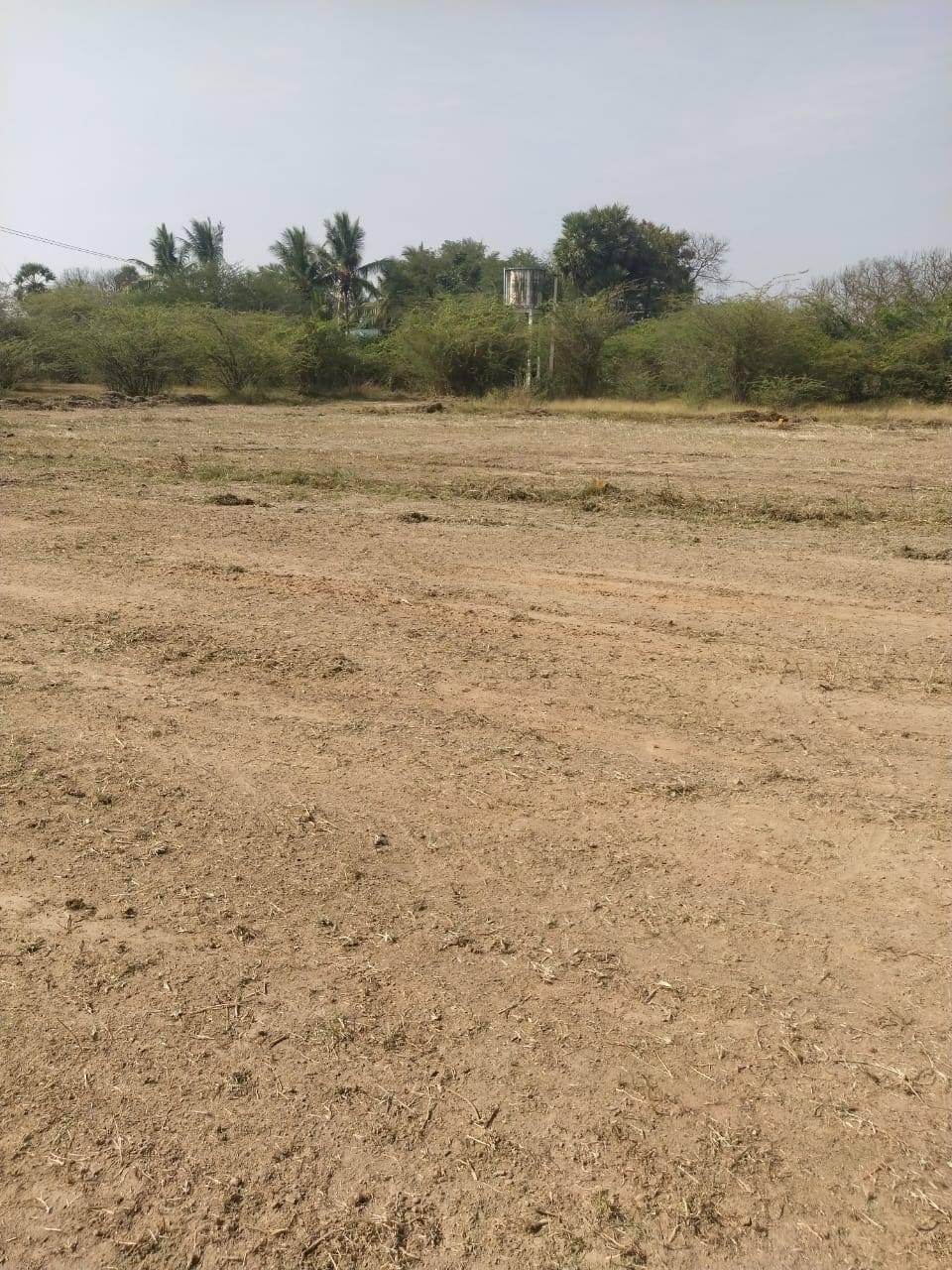 PLOTS FOR SALE AT SEVVAPET WITHIN 2KMS FROM KURINJI CBSE SCHOOL