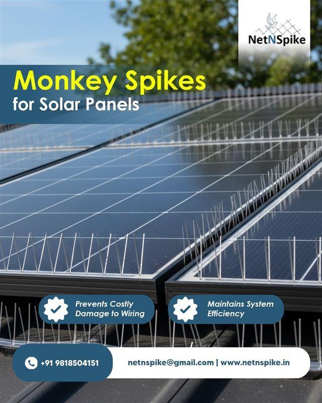 Install durable spikes for protection from monkeys