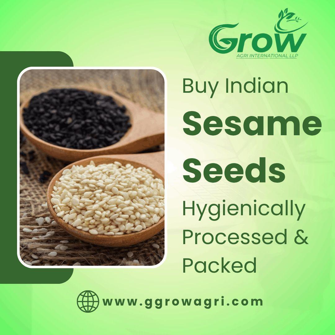 Buy Indian Sesame Seeds Hygienically Processed & Packed