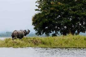 Kaziranga Package Tour from Guwahati with Elephant Safari