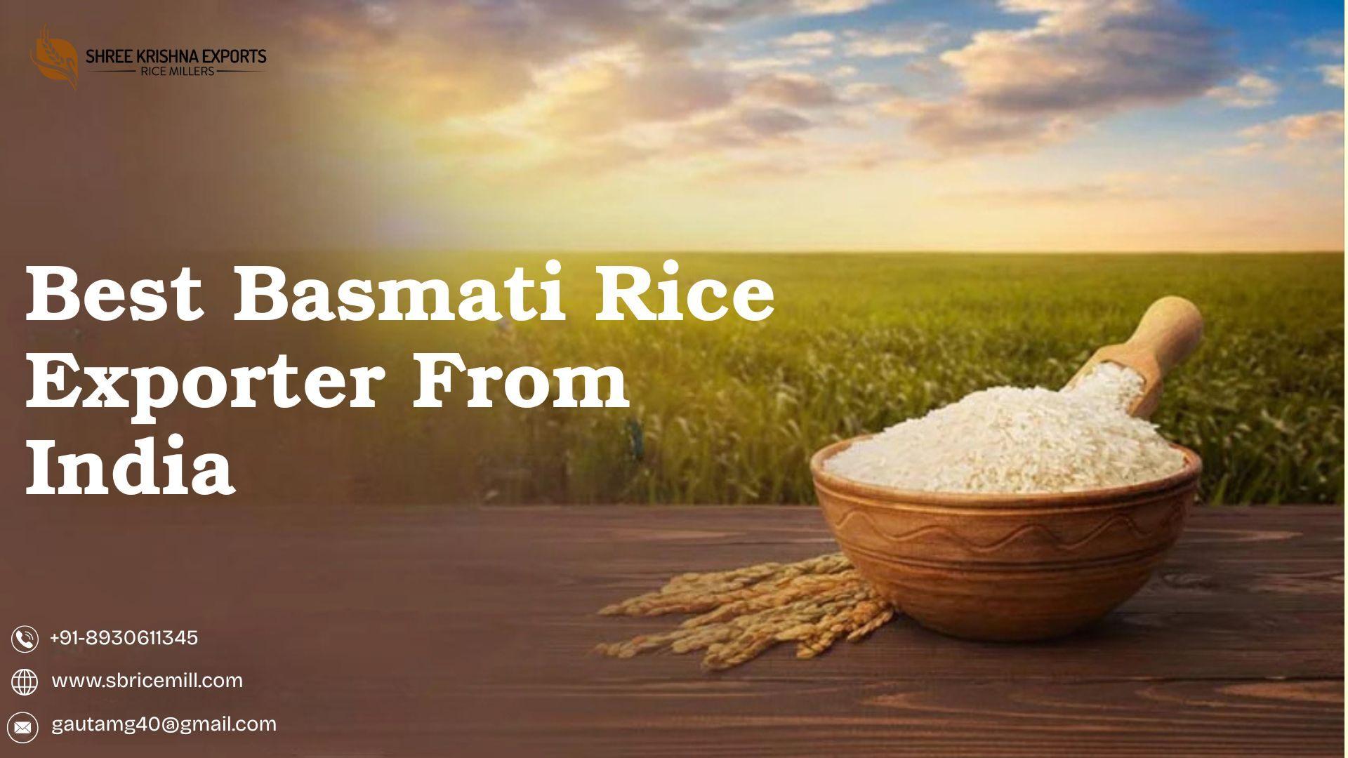 Top 10 Basmati Rice Exporters in India - Shree Krishna Exports