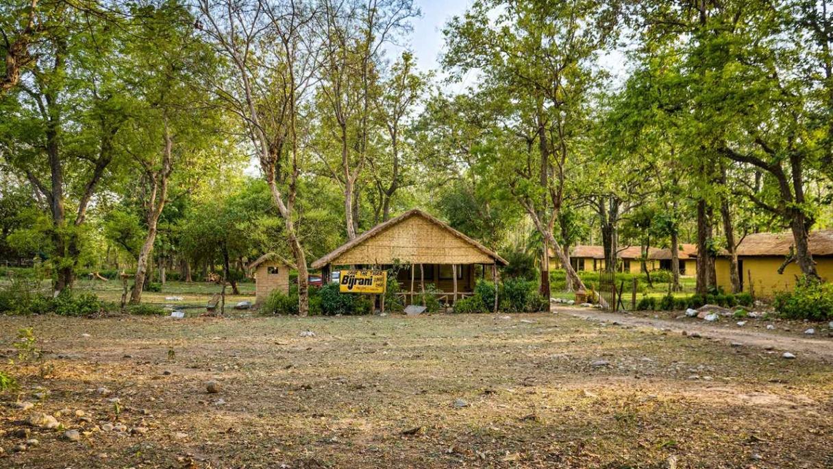 Jungle Resort in Jim Corbett  Bijrani Forest Experience