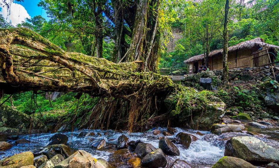 North East Packages from Guwahati 