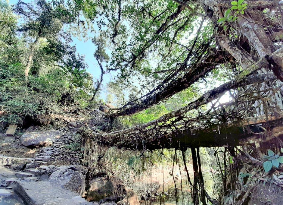 Bhutan Packages from Bagdogra Airport